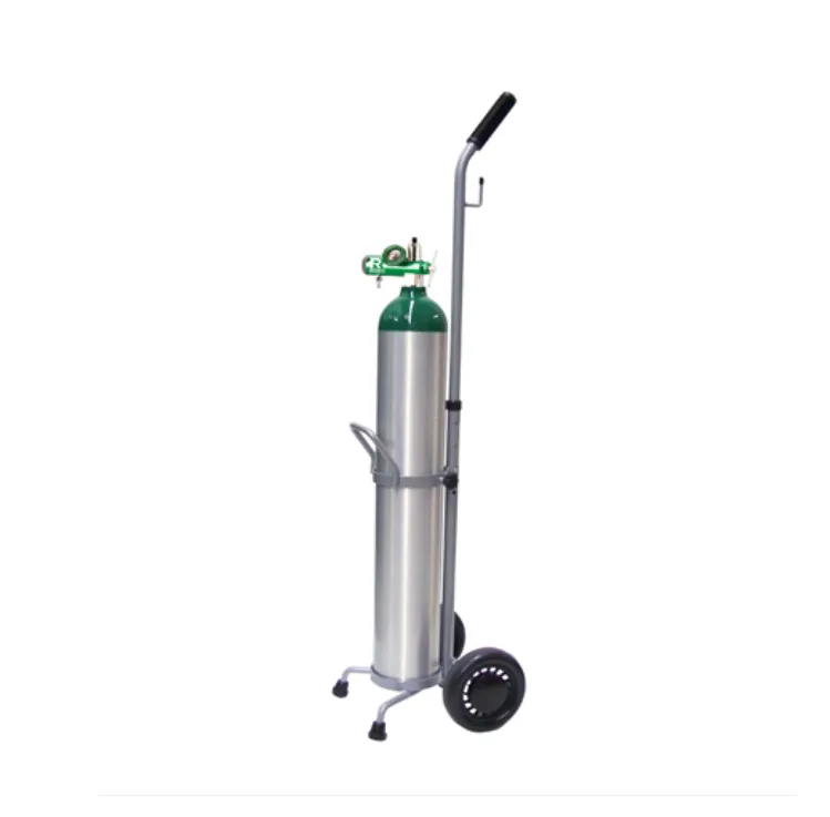 Rent Oxygen Tank Size E Kit