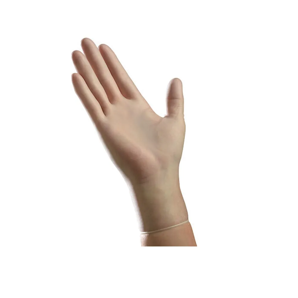 Vinyl Exam Gloves (XL)